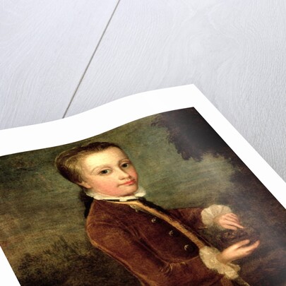 Portrait of Wolfgang Amadeus Mozart aged eight, holding a bird's nest, 1764-65 by Johann Zoffany