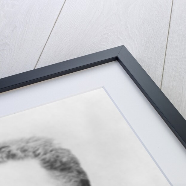 Portrait of Paul Doumer by Andre Adolphe Eugene Disderi