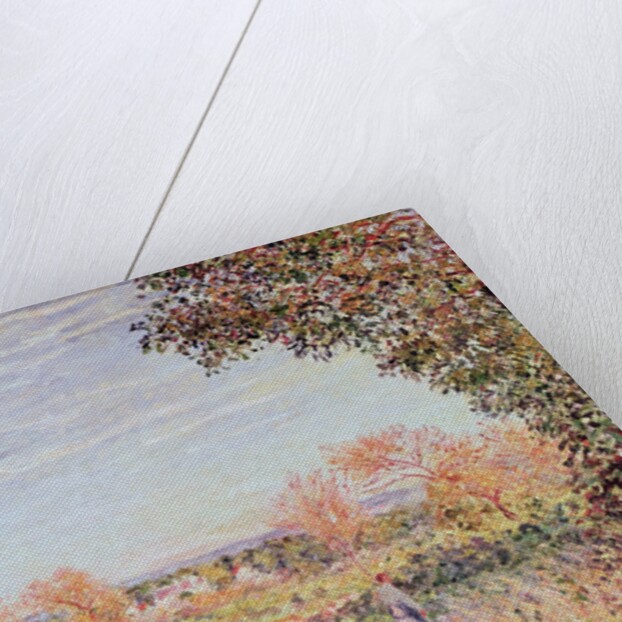 September Morning, c.1887 by Alfred Sisley