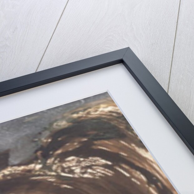 My Destiny, 1857 by Victor Hugo