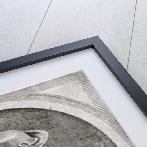 Portrait of Baruch or Benedict Spinoza, Dutch philosopher by School Dutch