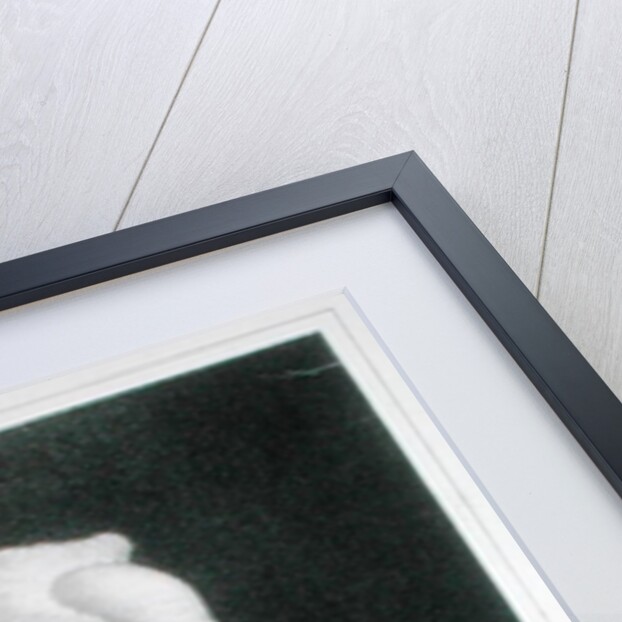 Portrait of Emmanuel Kant, German philosopher by French School