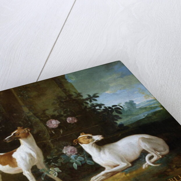 Misse and Turlu, two greyhounds of Louis XV by Jean-Baptiste Oudry