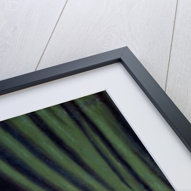 Self Portrait Smiling, c.1770-73 by Jean-Etienne Liotard