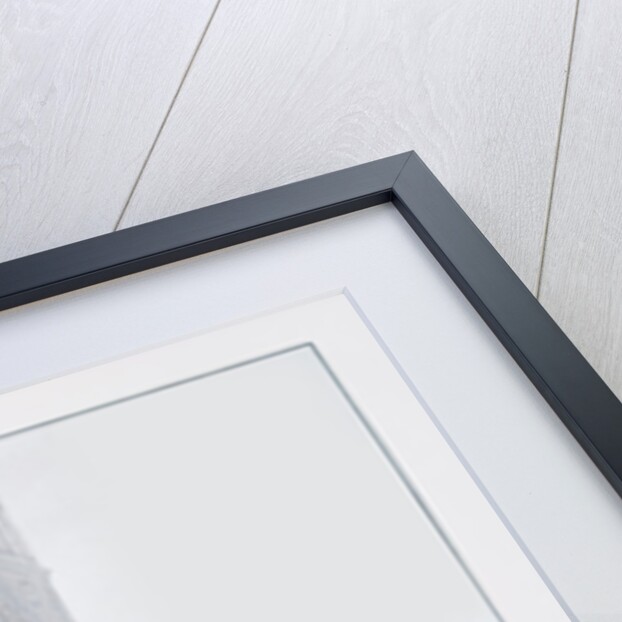 Arrival at Notre-Dame cathedral, Paris of Emperor Napoleon I and Empress Josephine for their coronation on 2 December, 1804 by Jean-Baptiste Isabey