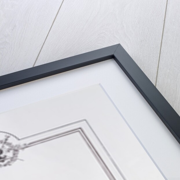 Costume of a French prince for the Coronation of Emperor Napoleon I and Empress Josephine in Paris on 2 December, 1804 by Jean-Baptiste Isabey (after)