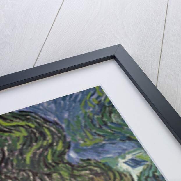 The Garden of Doctor Gachet at Auvers-sur-Oise, 1890 by Vincent van Gogh