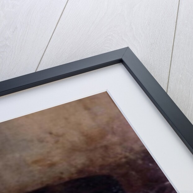 Saltwater Fish by Antoine Vollon