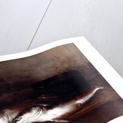 Saltwater Fish by Antoine Vollon