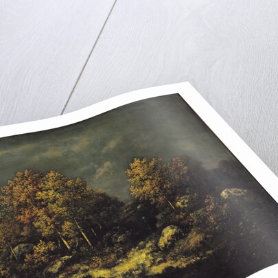 The Jean de Paris Heights in the Forest of Fontainebleau, 1867 by Narcisse Virgile Diaz de la Pena