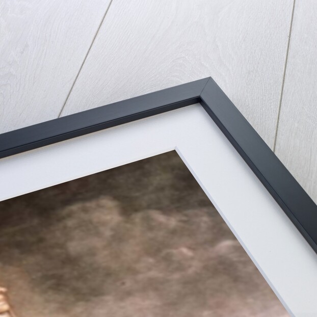 Portrait of the Marquis de La Fayette commander of the National Guard, 1790 by Philibert-Louis Debucourt