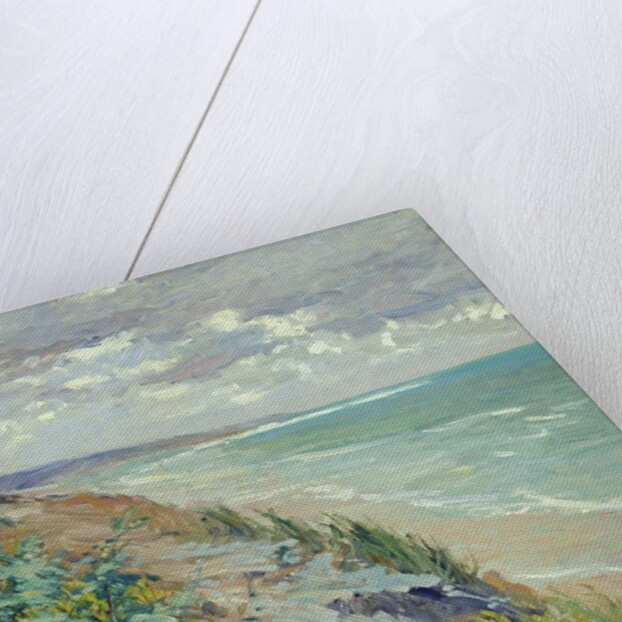 Cliffs by the sea at Trouville by Gustave Caillebotte