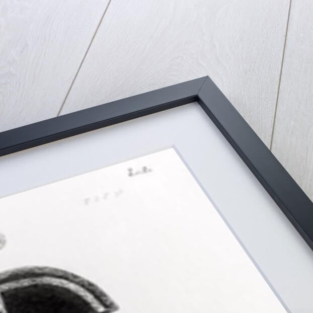 Portrait of Toussaint L'Ouverture by (after) Duc