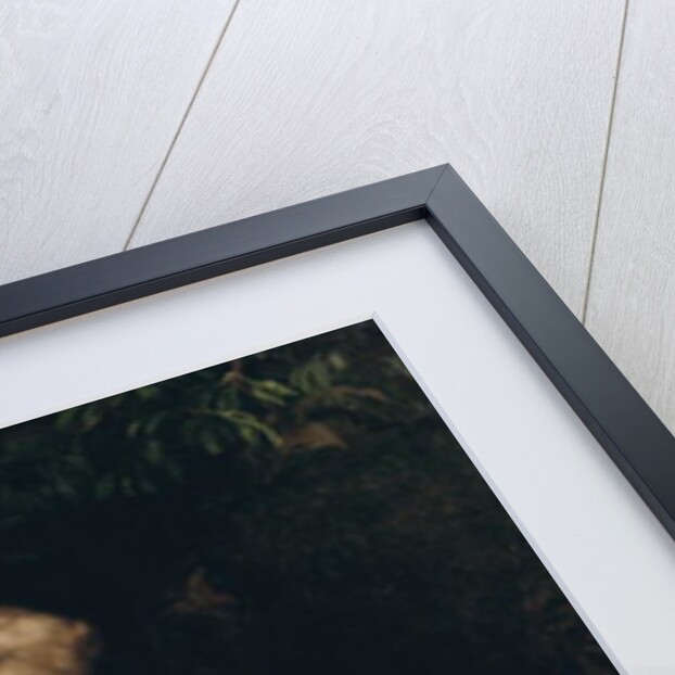 The Temptation of St. Anthony, c.1552 by Veronese