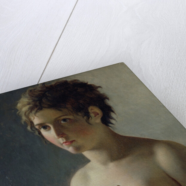 Portrait of a Young Girl, 1812 by Baron Pierre-Narcisse Guerin