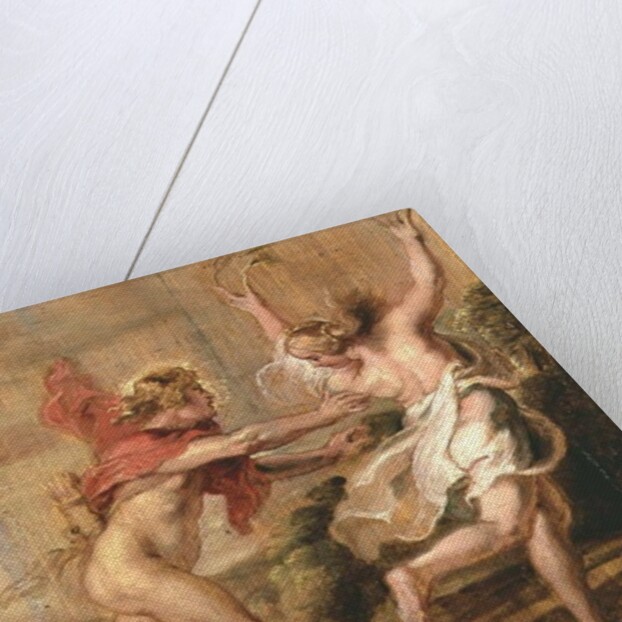 Apollo and Daphne, c.1636 by Peter Paul Rubens