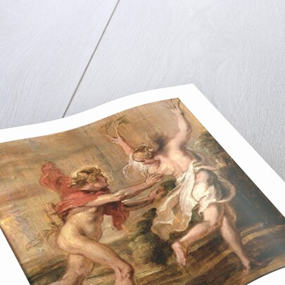 Apollo and Daphne, c.1636 by Peter Paul Rubens