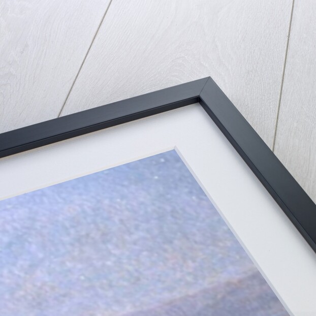 Christmas Night at Bethlehem, 1893 by Ludovic Alleaume