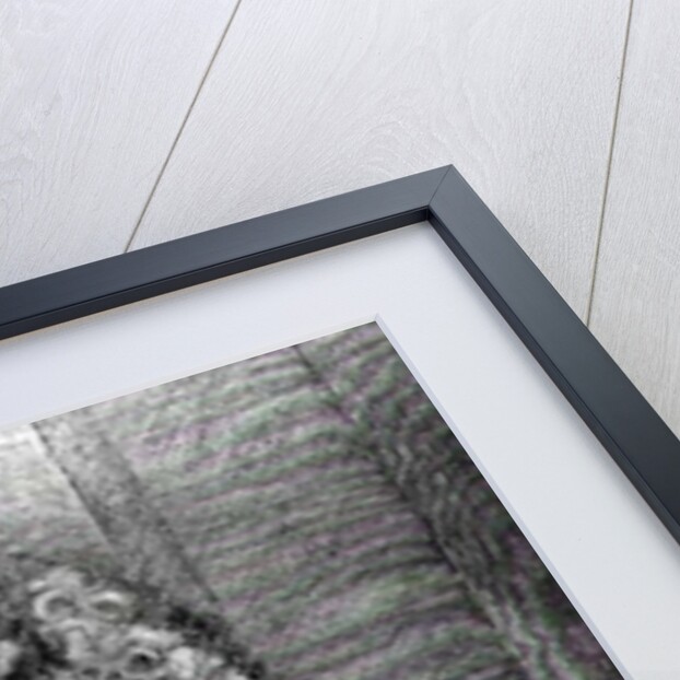 Portrait of Charles Perrault by French School