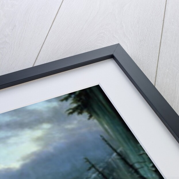 Niagara Falls by Hippolyte Victor Valentin Sebron