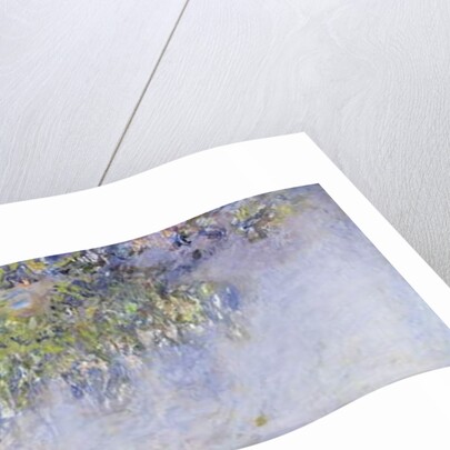 Wisteria, 1919-20 by Claude Monet