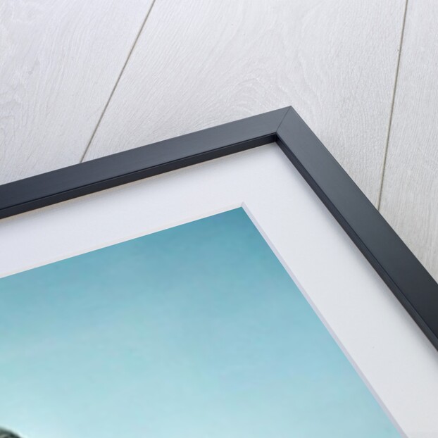 The Triumph of the Republic, 1879-99 by Aime Jules Dalou