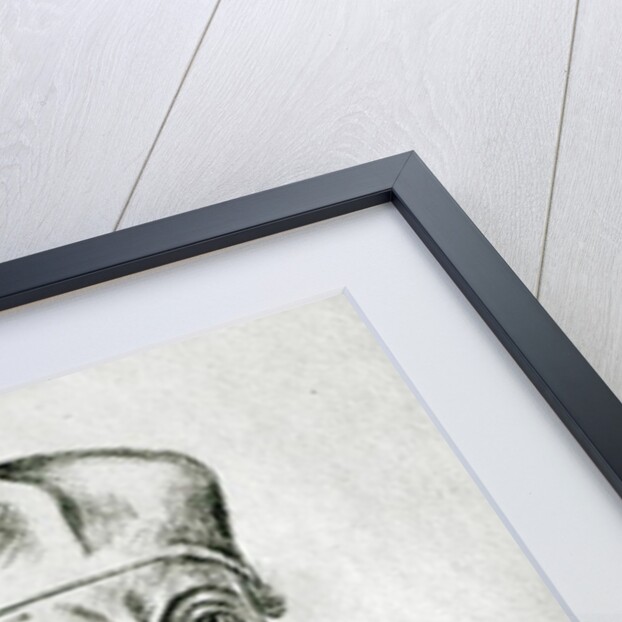 Ms 266 f.257 Portrait of Thomas Wolsey, cardinal of York by Flemish School