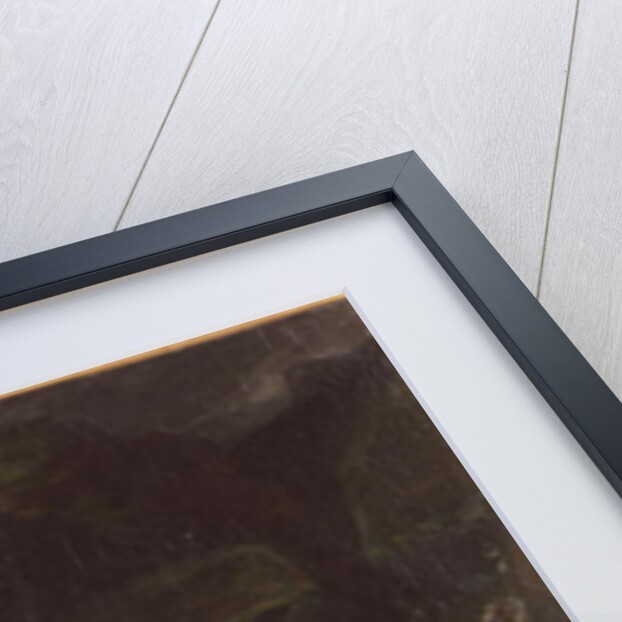 Breakers off Granville Point in the Channel, 1853 by Paul Huet