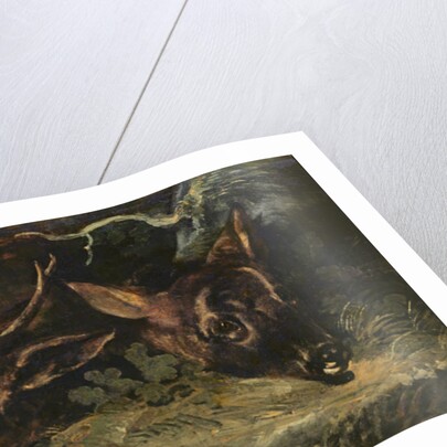 Heads of Roe Deer, 1815 by Theodore Gericault