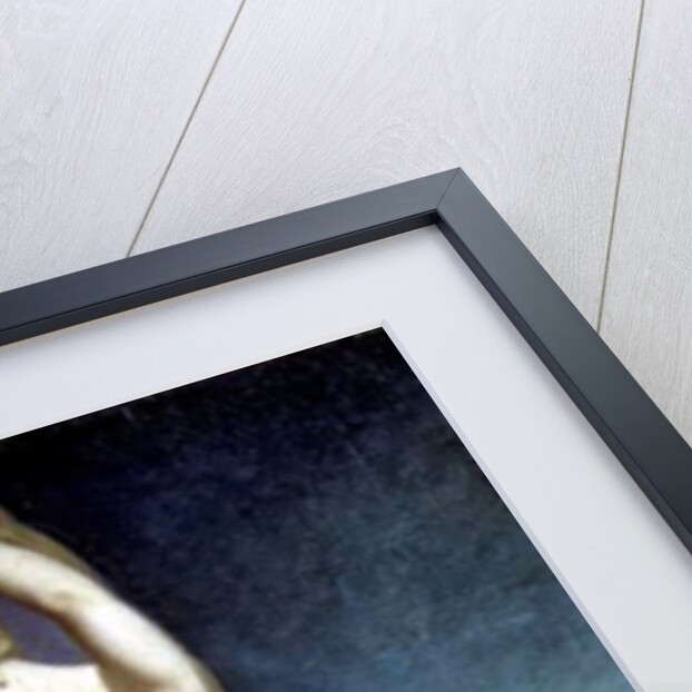 Venus Anadyomene, or Venus of the Sea, 1838 by Theodore Chasseriau