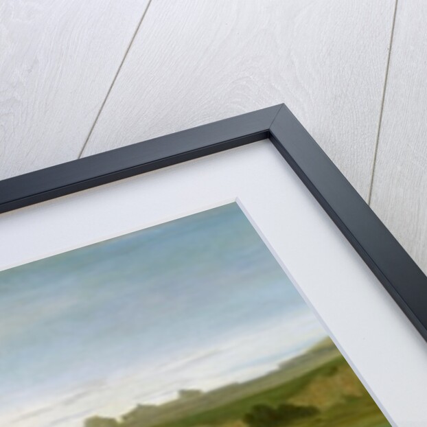 St. Francis of Assisi, while being carried to his final resting place at Saint-Marie-des-Anges, blesses the town of Assisi in 1226, 1853 by Francois Leon Benouville