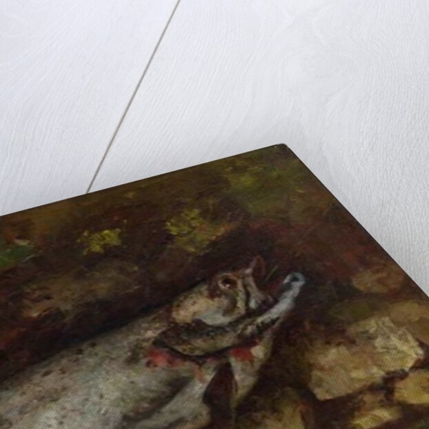 The Trout, 1873 by Gustave Courbet