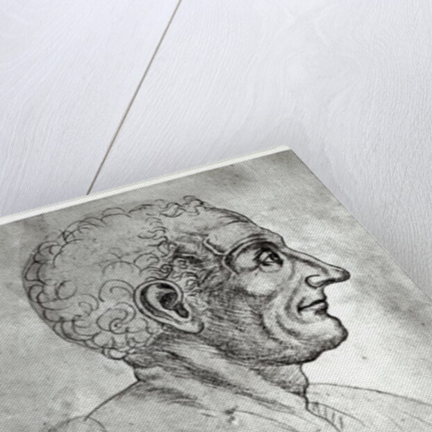 Portrait of Titus Livius known as Livy by Flemish School