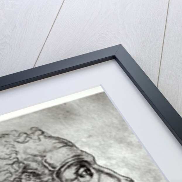 Portrait of Titus Livius known as Livy by Flemish School