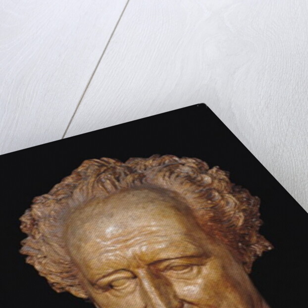 Bust of Johann Wolfgang von Goethe, 1831 by Pierre Jean David d'Angers