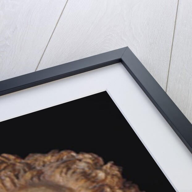 Bust of Johann Wolfgang von Goethe, 1831 by Pierre Jean David d'Angers