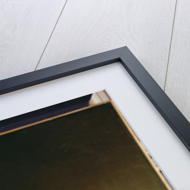 Portrait of a Woman by Arpad Migl