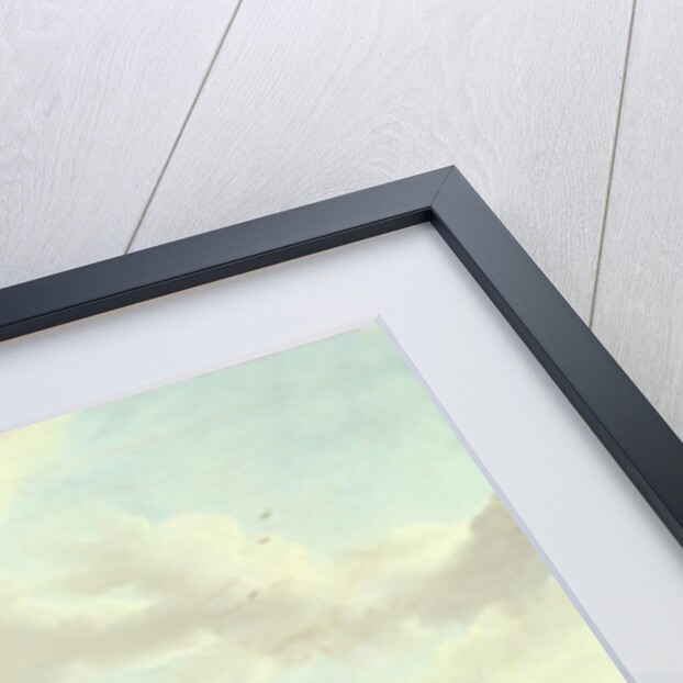 Falconry by Johannes van der Bent