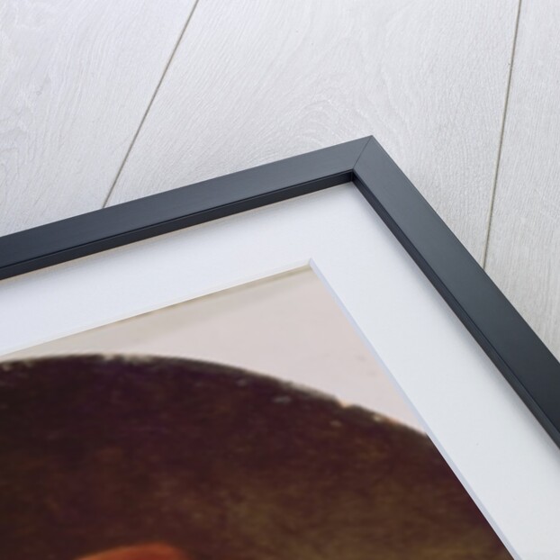 Portrait of a Boy, 1634 by Rembrandt Harmensz. van Rijn