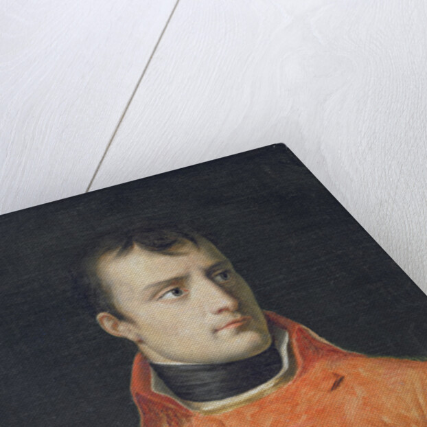Napoléon Bonaparte, First Consul by Anne Louis Girodet de Roucy-Trioson