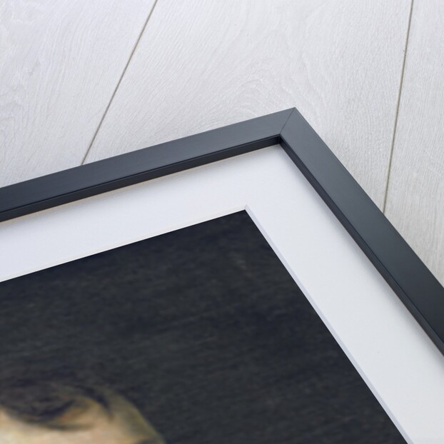 Napoléon Bonaparte, First Consul by Anne Louis Girodet de Roucy-Trioson