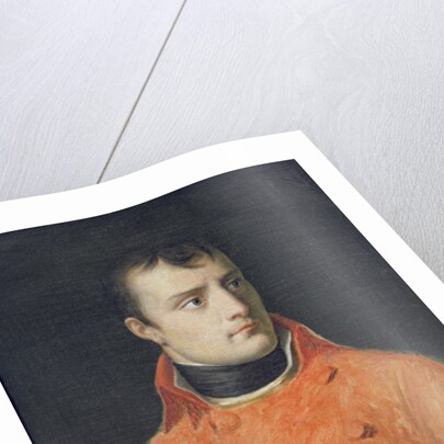 Napoléon Bonaparte, First Consul by Anne Louis Girodet de Roucy-Trioson