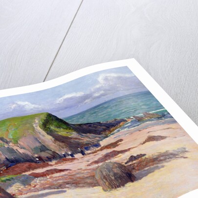 Harvesting of Seaweed, 1891 by Maxime Emile Louis Maufra