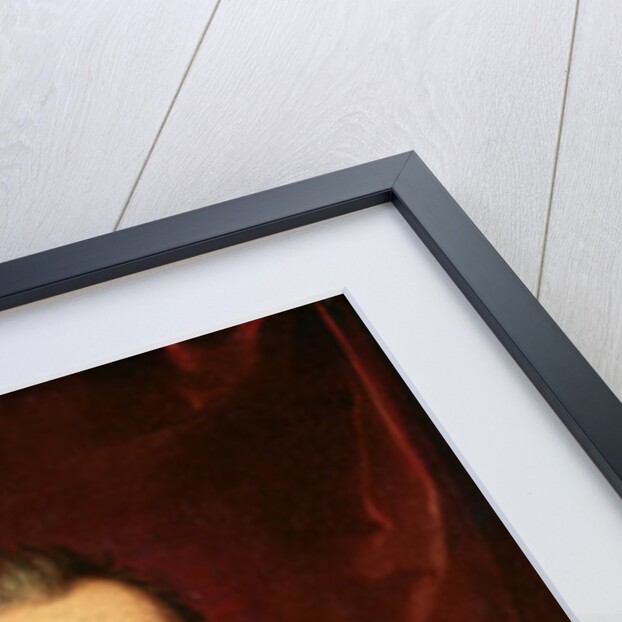 Portrait of Henri IV of France by Frans II Pourbus