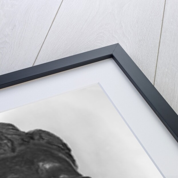 Bust of Friedrich Nietzsche German philosopher, 1902 by Max Klinger