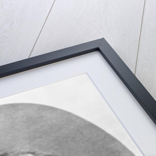 Portrait of Emile-Jean-Marie Gautier by Etienne Carjat