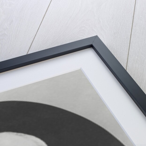 Portrait of Paul-René Léon Ginain by French Photographer