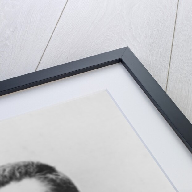 Portrait of Henri Goelzer by Studio Walery