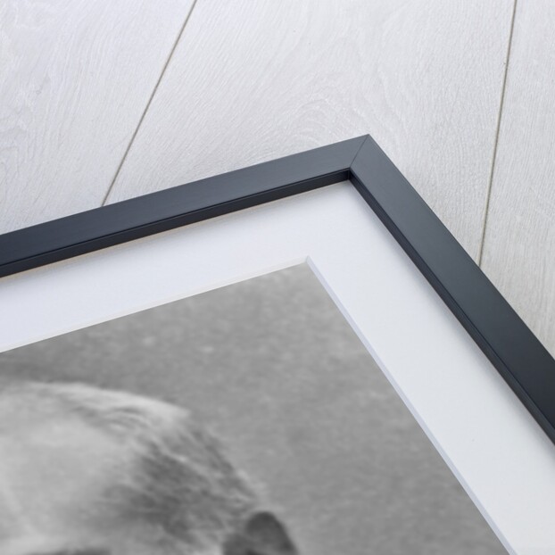 Portrait of Eugène-Jean-Baptiste-Claude Guillaume by Eugene Pirou