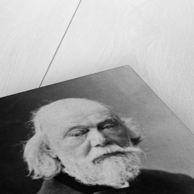 Portrait of Auguste Barthélemi Glaize, c.1890 by J. E. Tourtin